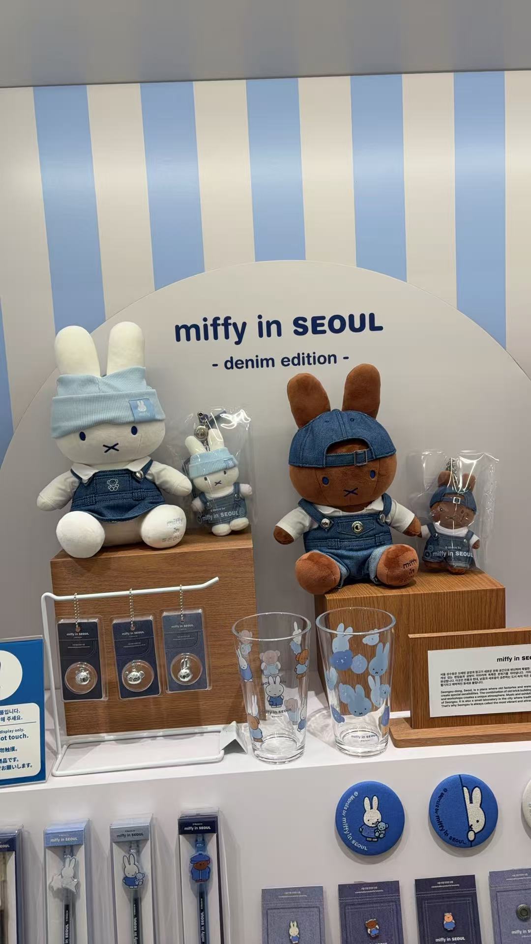 Korea Seoul exclusiveMiffy glasses