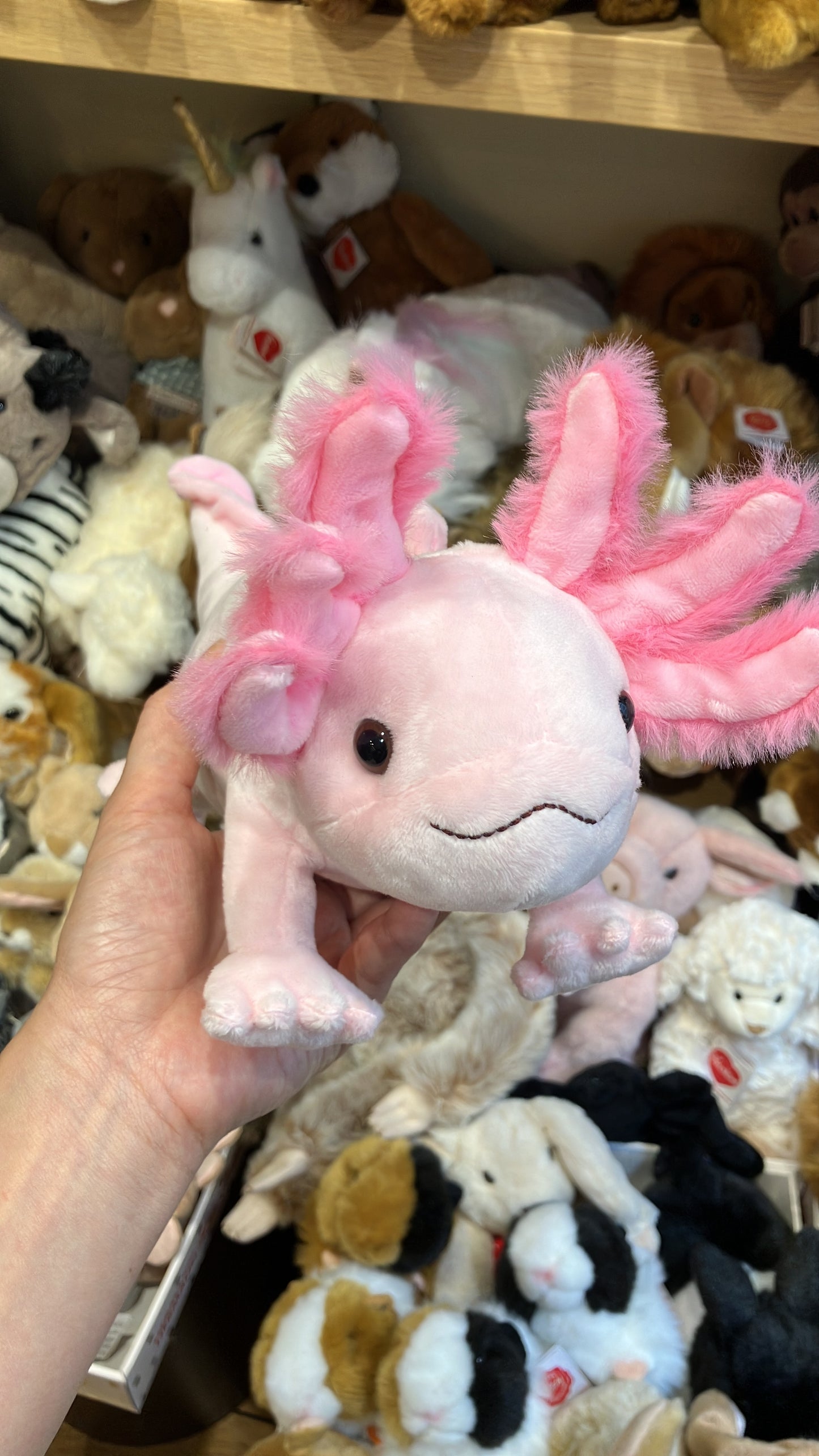24/7 小店連線-8月中到貨 steiff plush