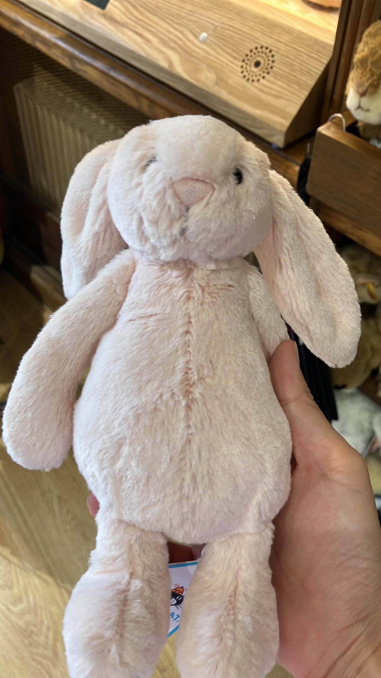 21/8 小店連線 9月頭到貨 Jellycat blush bunny 18