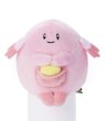 Pokémon Chokkorisan Chansey Plush