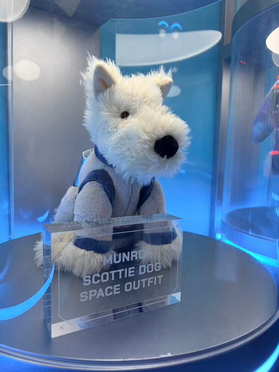 2026 3 月新品Jellycat munro scottie dog