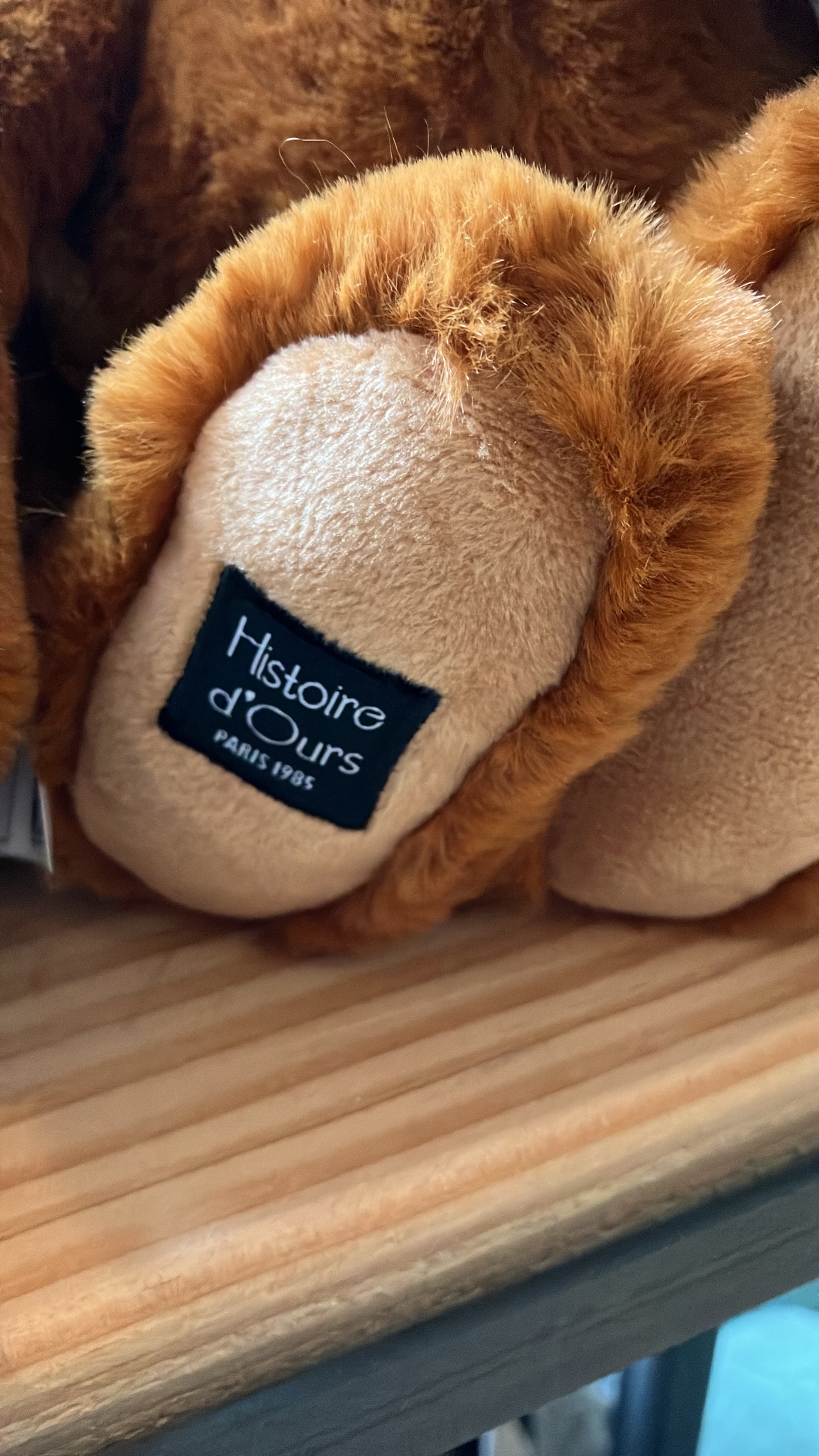 22/7 小店連線-8月中到貨 histoiro d'ours bunny