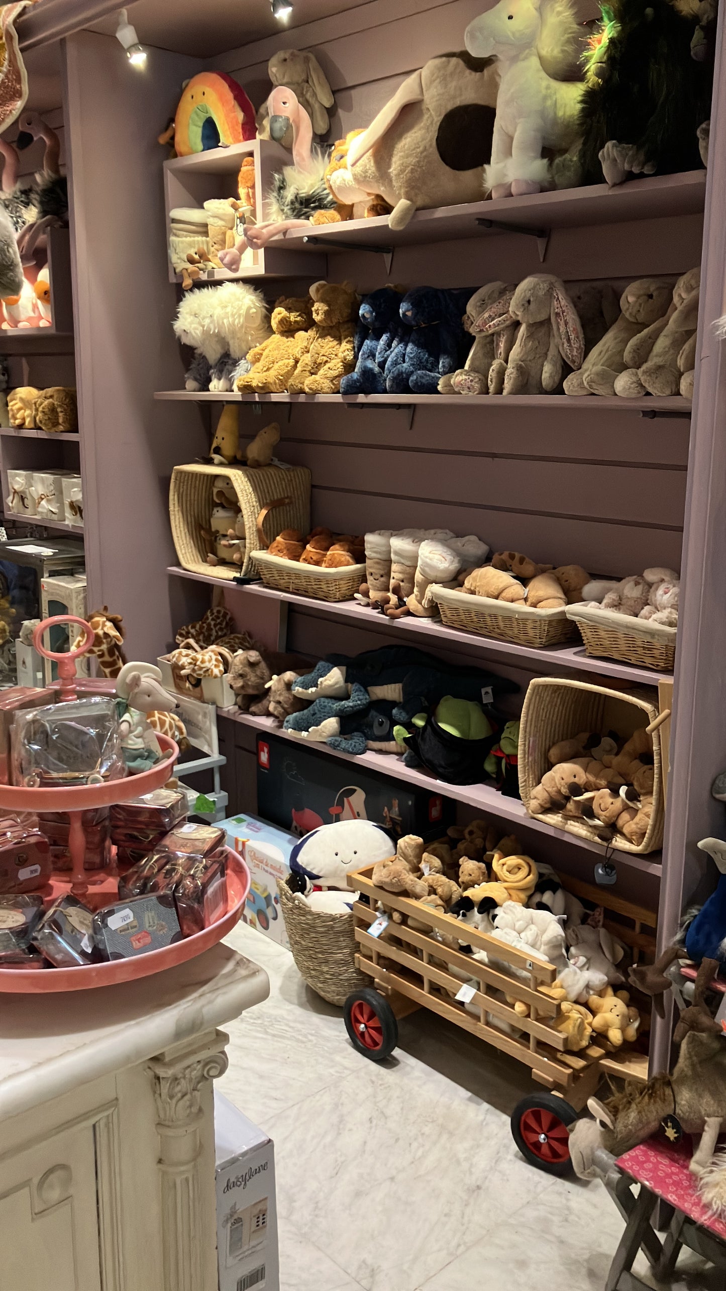 21/8 9月頭到貨小店連線 jellycat - ricky rainfrog vampire