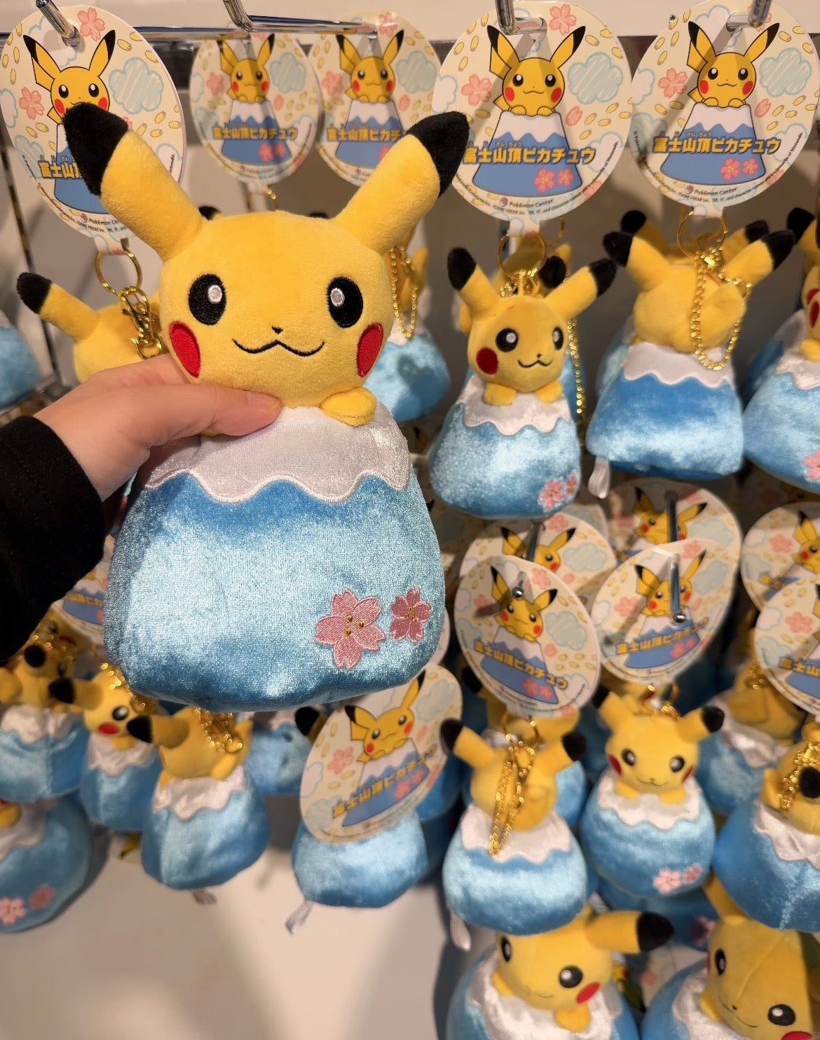 Japan Limited|Fuji Pikachu Plush
