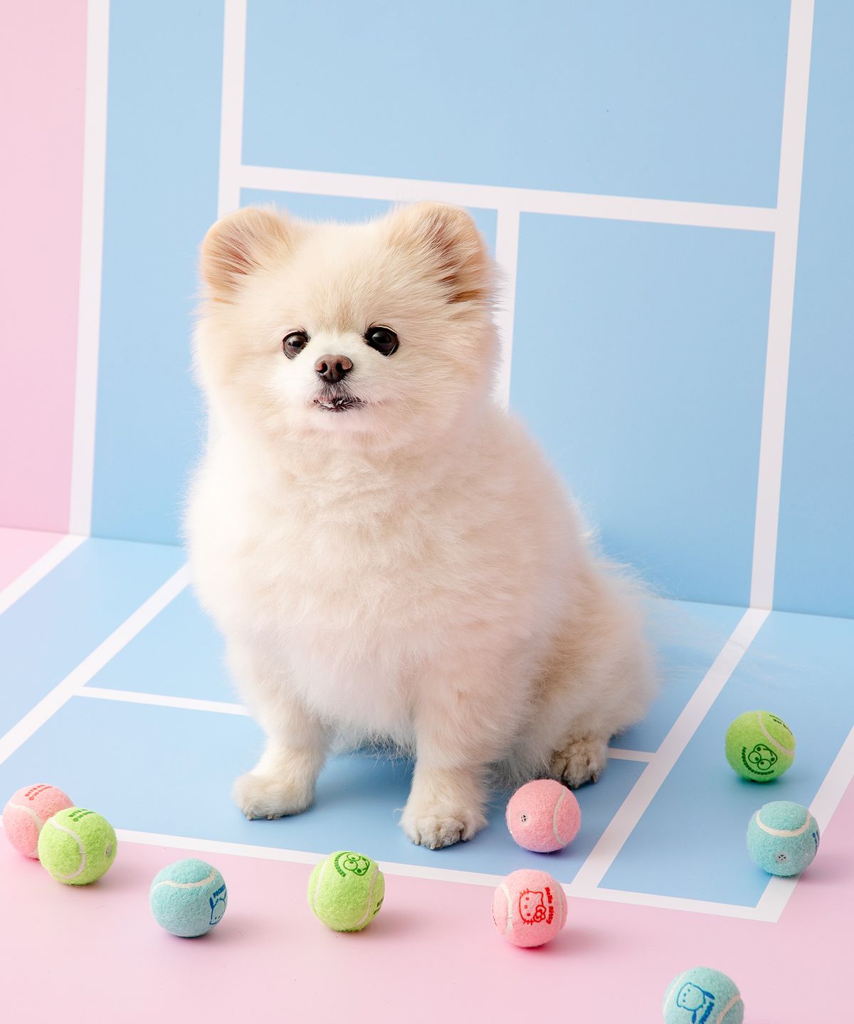 Korea|Sanrio Characters Tennis Ball Toy Set