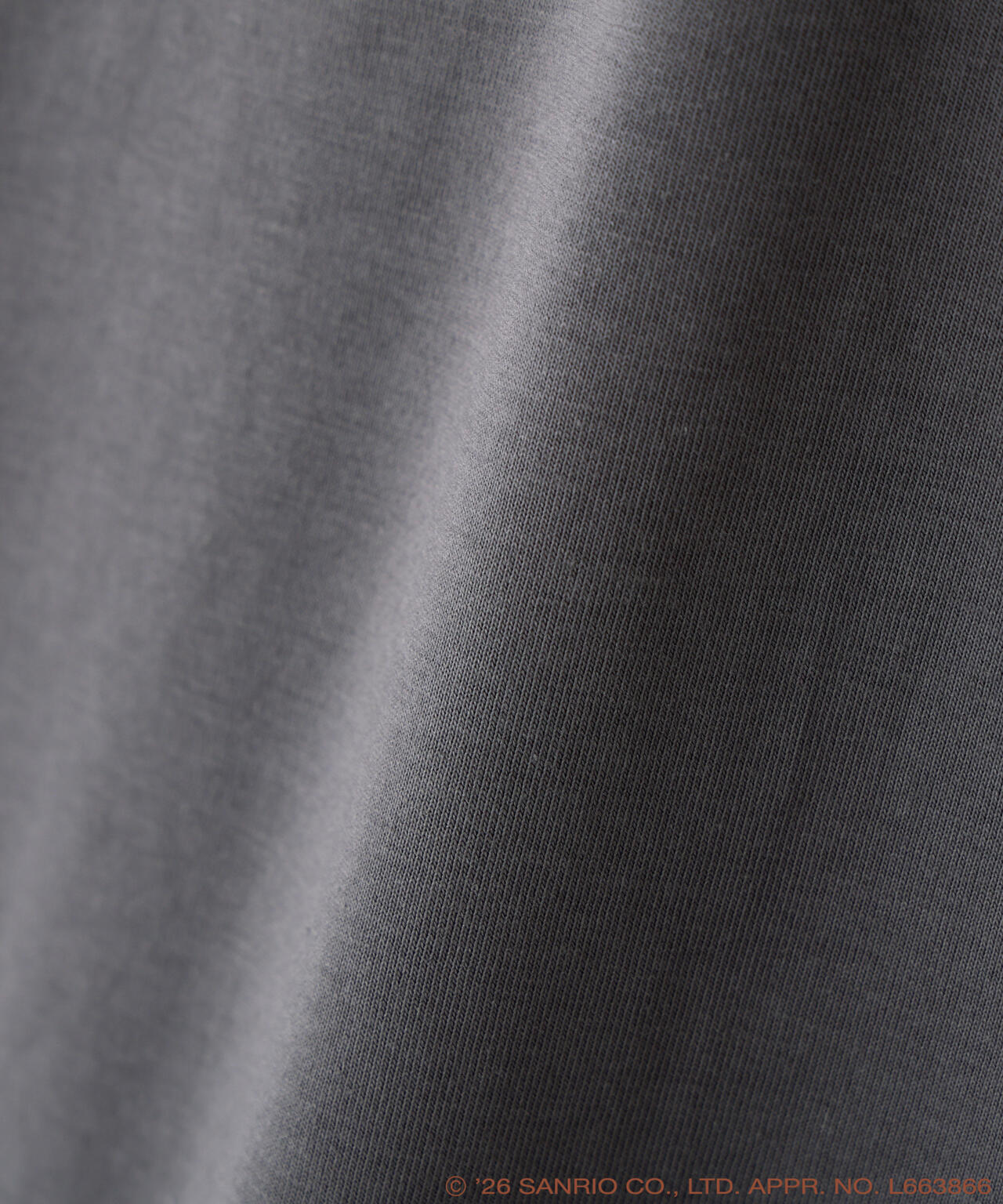 Pompompurin Collaboration Pocket T-Shirt - Charcoal