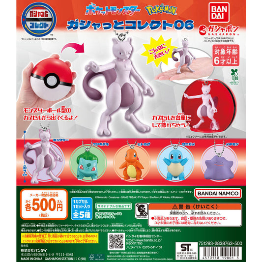 Pokémon Gashatto Collect 06