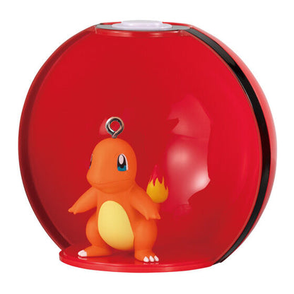 Pokémon Gashatto Collect 06