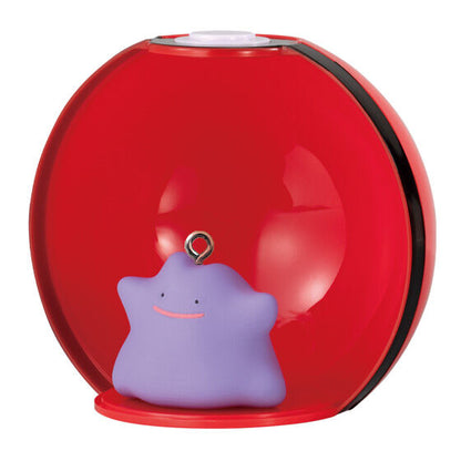 Pokémon Gashatto Collect 06