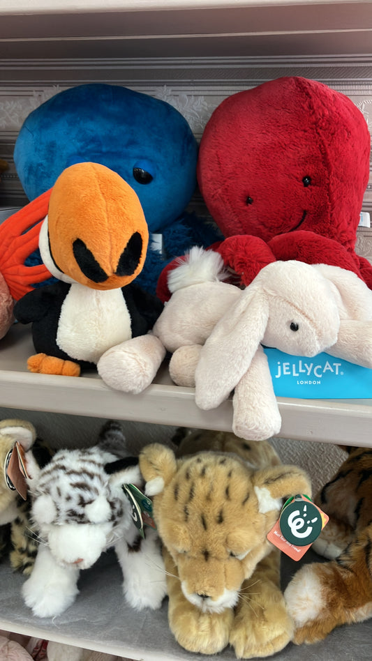 21/8 9月頭到貨Jellycat  Bodacious Beak Toucan