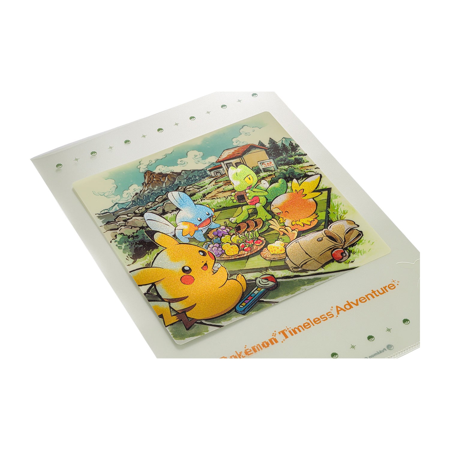 Pokémon Timeless Adventure Hoenn A4 Clear File