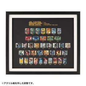 Pokémon All Package Collection 1996-2025 Pin Frame
