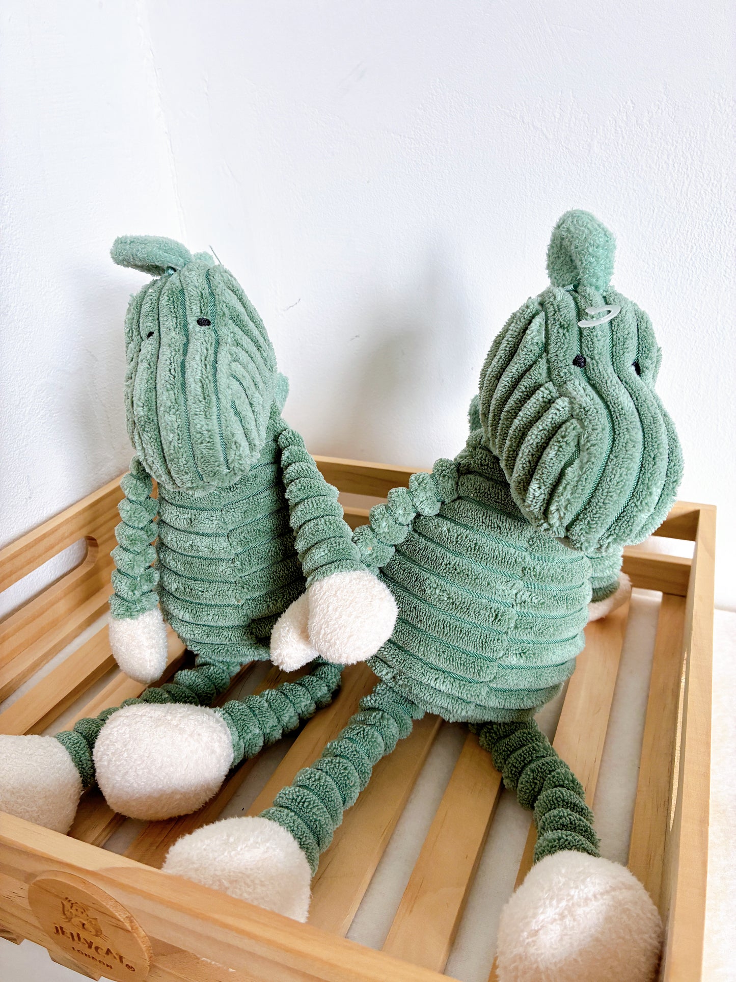 5月中下旬到貨Jellycat baby cordy roy dino