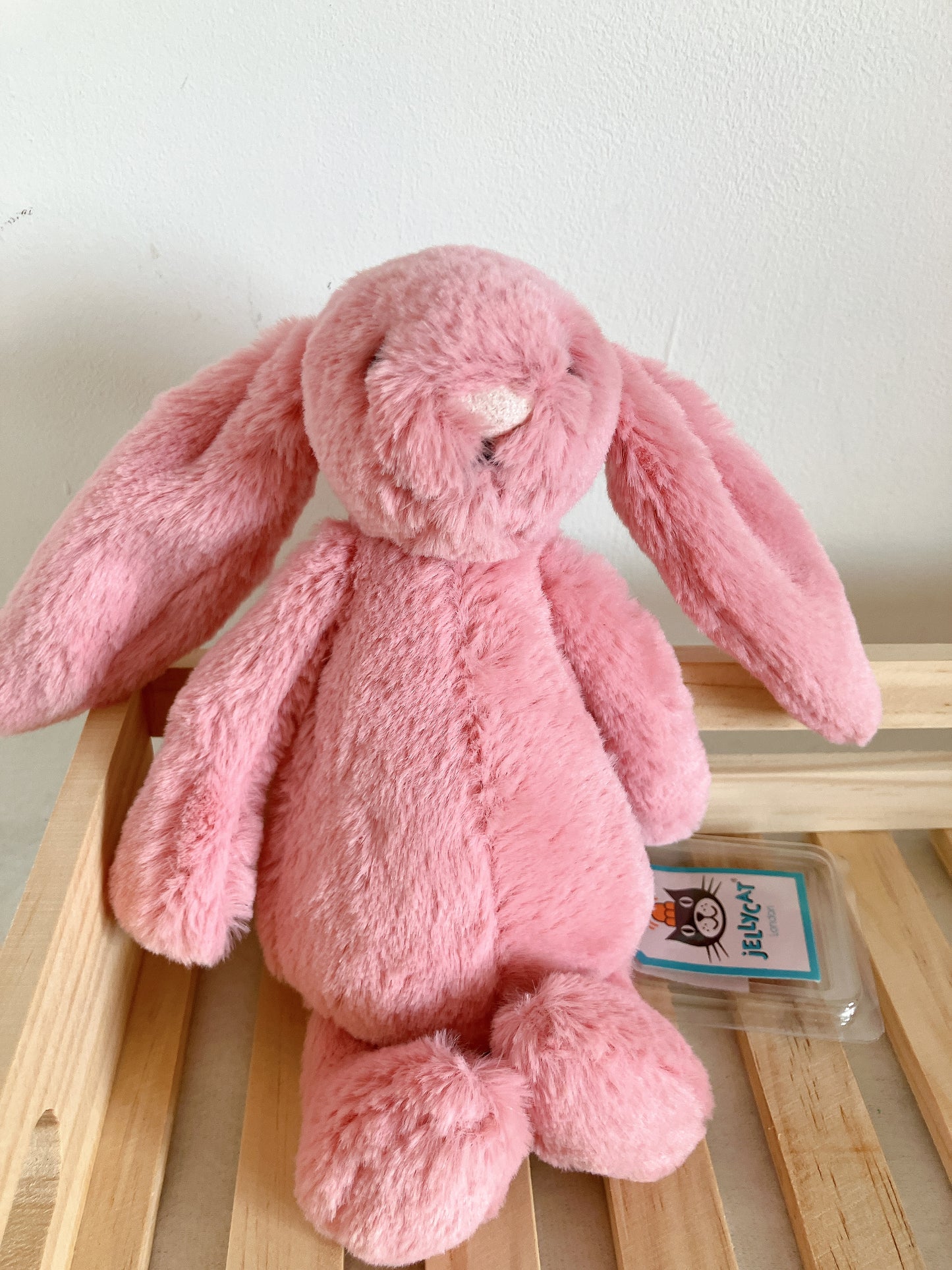 🌸 Bunny Petal（Small 18cm）已絕版