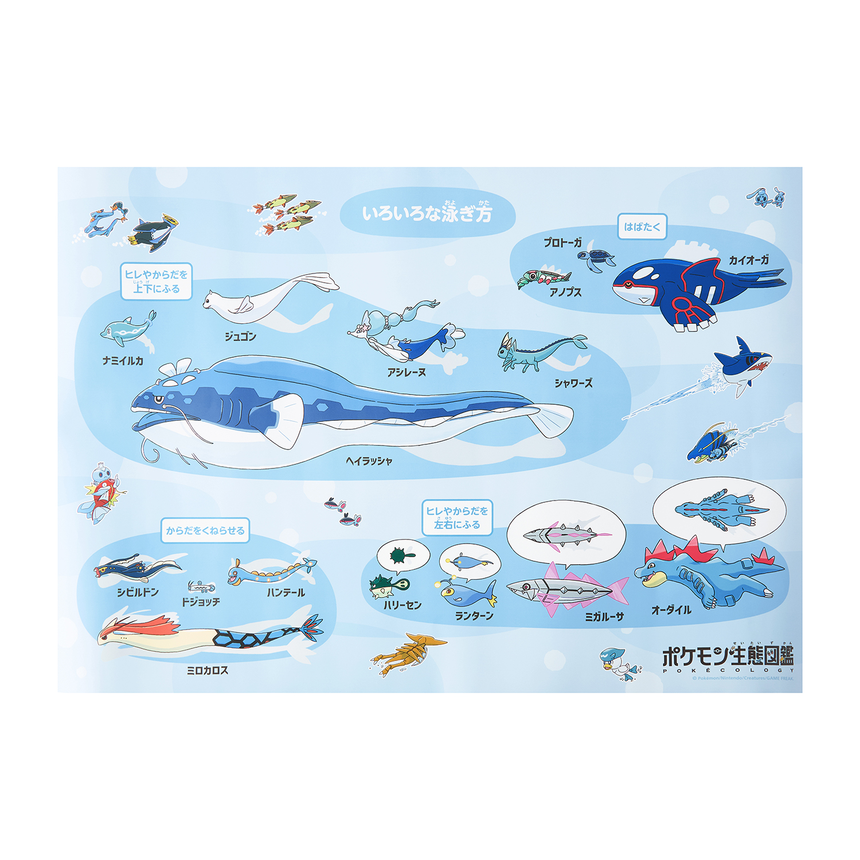 Korea Exclusive｜Pokémon Ecology Pokédex Waterproof Poster