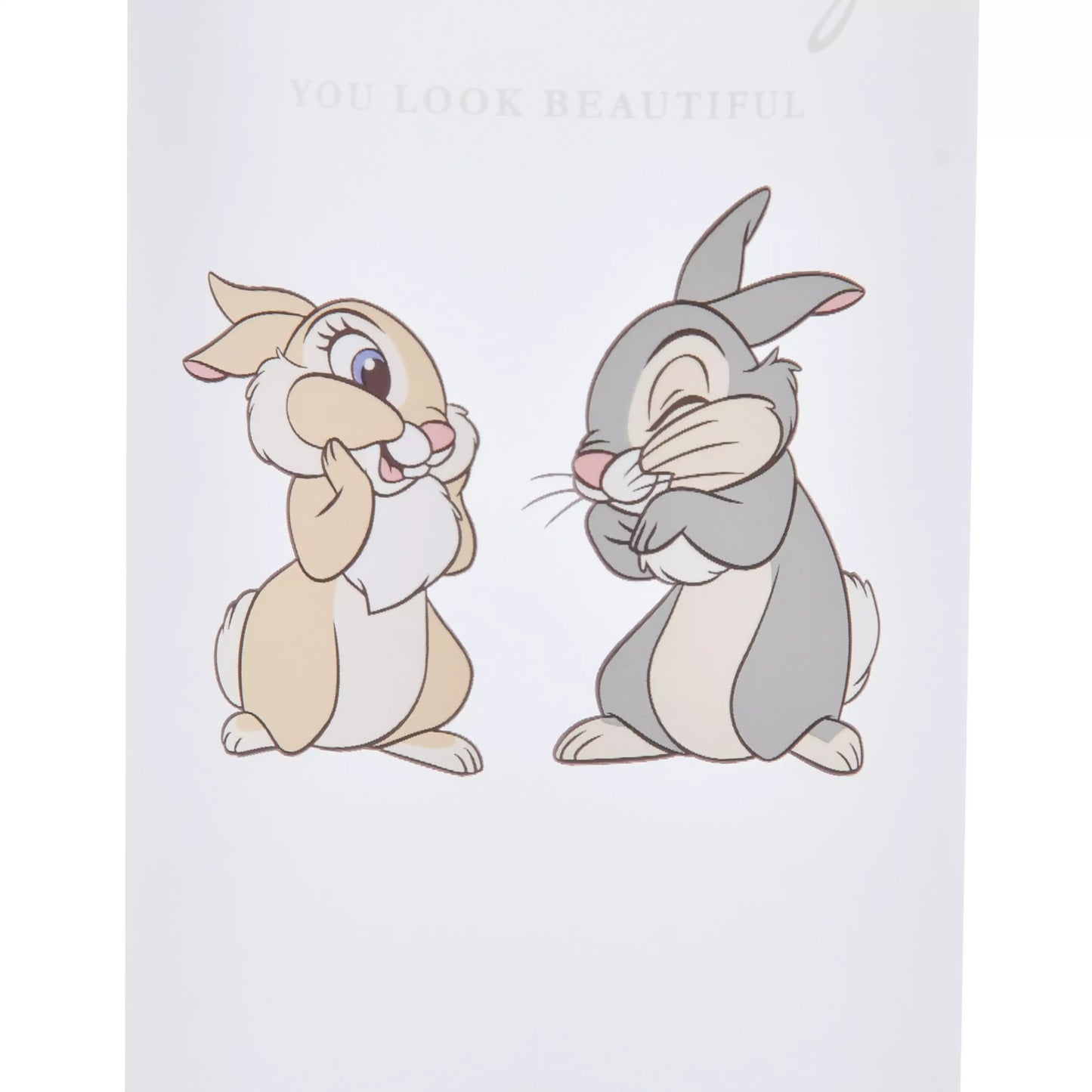 日本Disney 迪士尼 pastel bunnies 透明磨砂水瓶