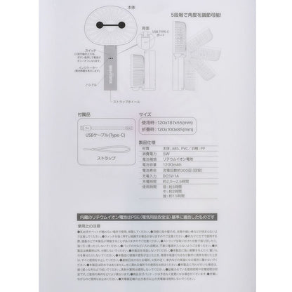 Baymax 2-Way Handy Fan Sunshine Days Series