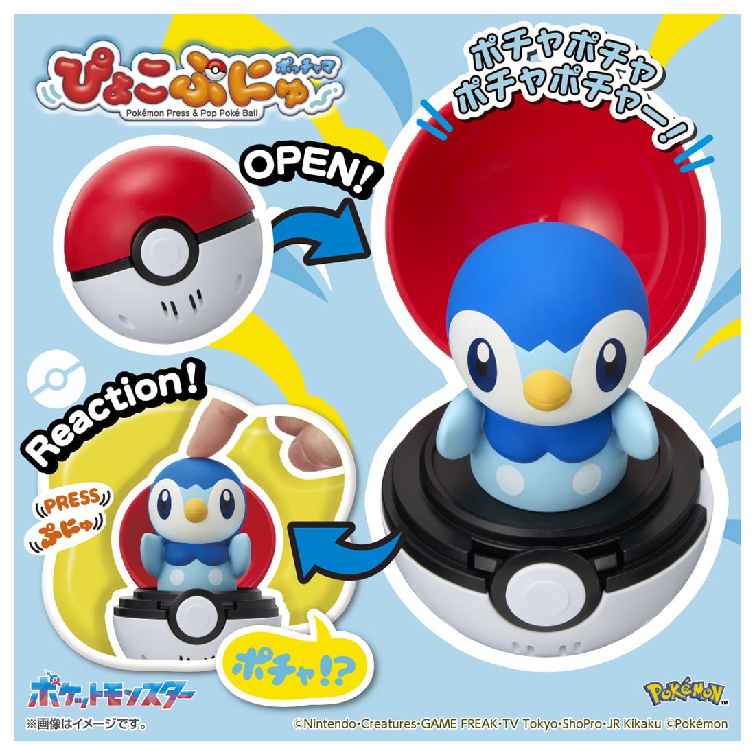 Japan｜ Pokémon Pyokopunyu Piplup