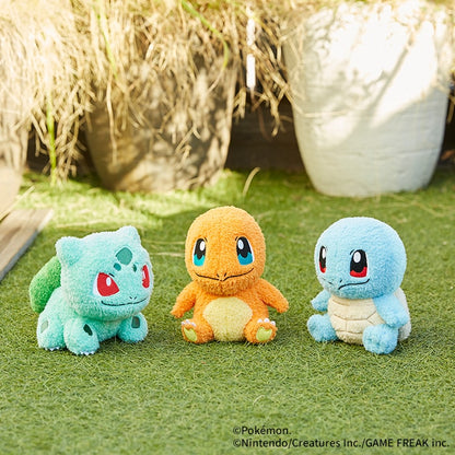 Japan｜ Pokémon Squirtle Mokomoko Petit Plush
