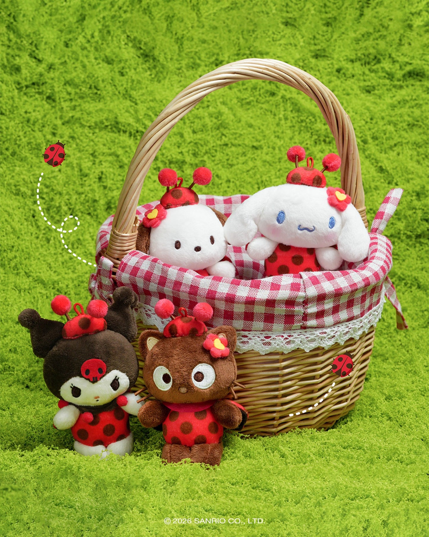 Korea Sanrio Ladybug friend (Limited Order