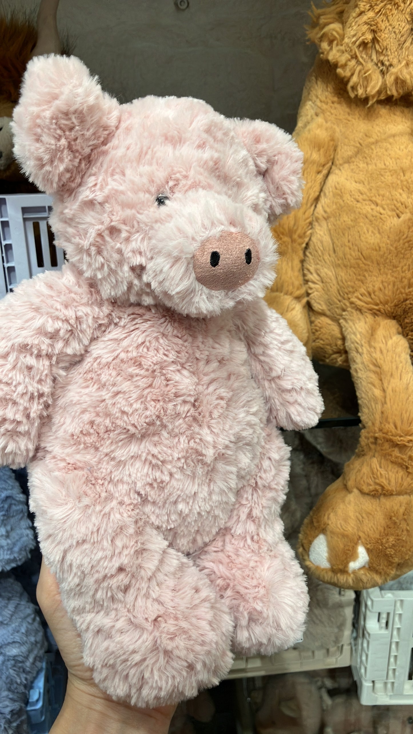 22/8 9月底 到貨  小店連線jellycat Barnabus Pig