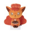 Pokémon Chokkorisan Vulpix Plush