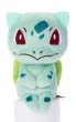 Pokémon Chokkorisan Bulbasaur Plush