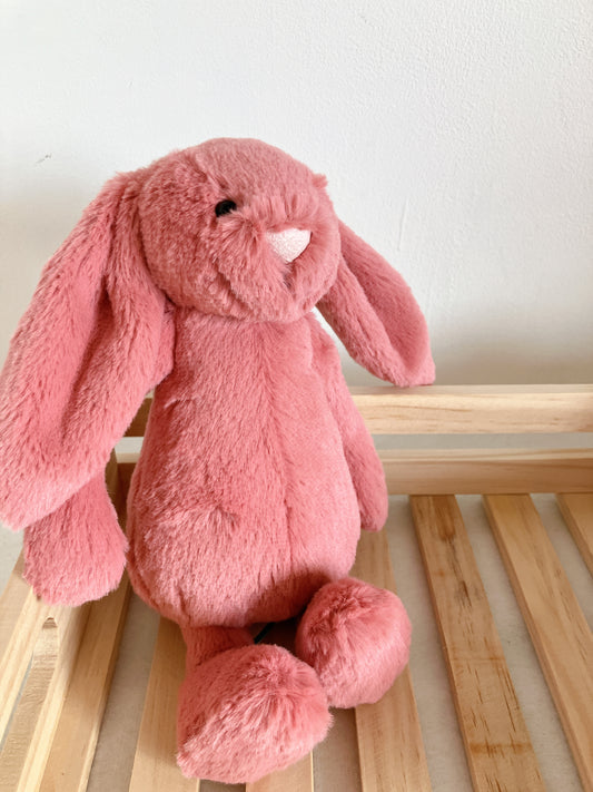 拍賣會🌿 Bunny Sorrel（Small 18cm）已絕版