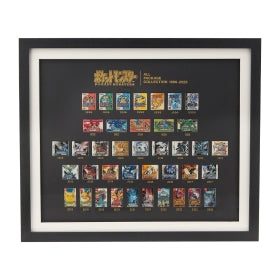 Pokémon All Package Collection 1996-2025 Pin Frame