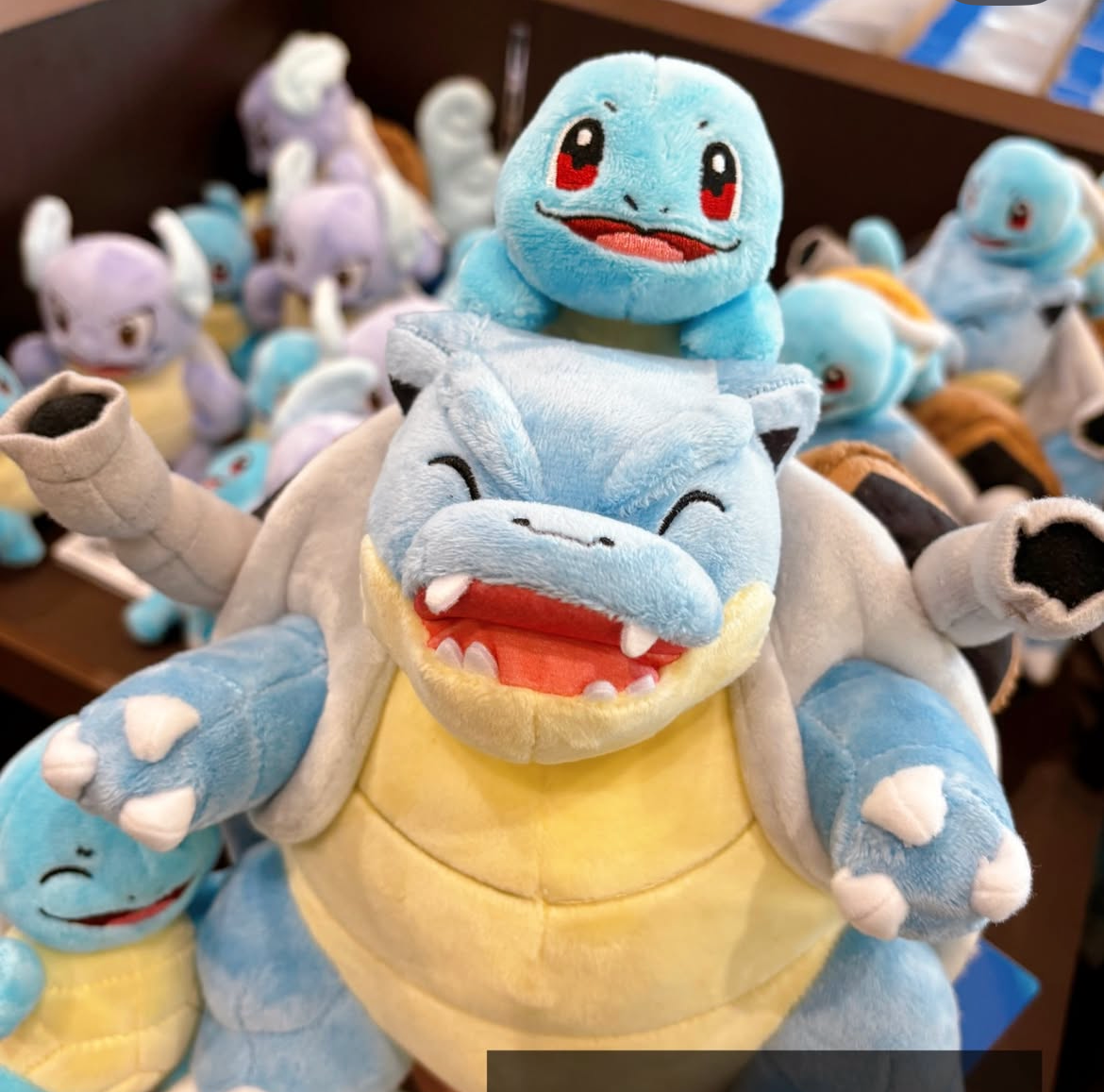 PokePark Kanto Limited｜Summer Squirtle & Blastoise Plush