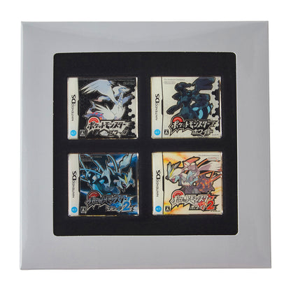 Pokémon Black White Black 2 White 2 Package Pins