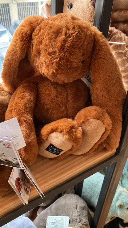 22/7 小店連線-8月中到貨  histoiro d'ours bunny