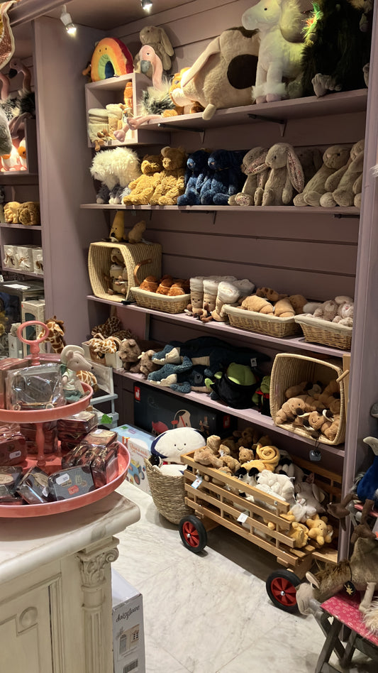 21/8 9月頭到貨小店連線 jellycat - ricky rainfrog vampire