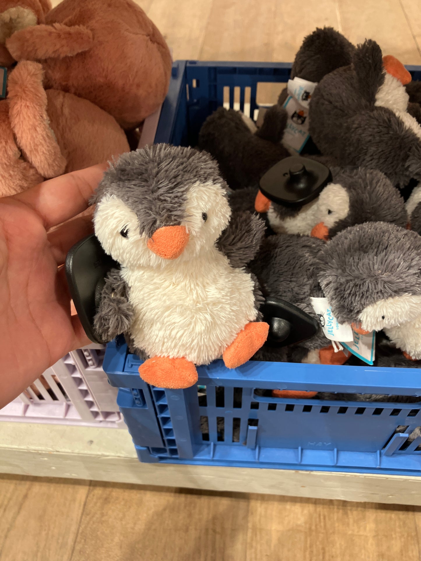 13/8 小店連線  8月底到貨 Jellycat Peanut Penguin - small
