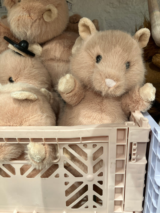13/8  8 月底 到貨  小店連線jellycat hank hamster