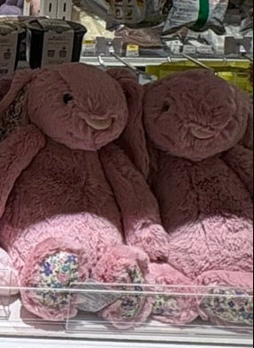 [寄賣店現貨 ]jellycat tulip blossom bunny medium