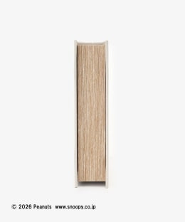 Book-Shaped Storage Box (PEANUTS)