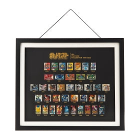 Pokémon All Package Collection 1996-2025 Pin Frame