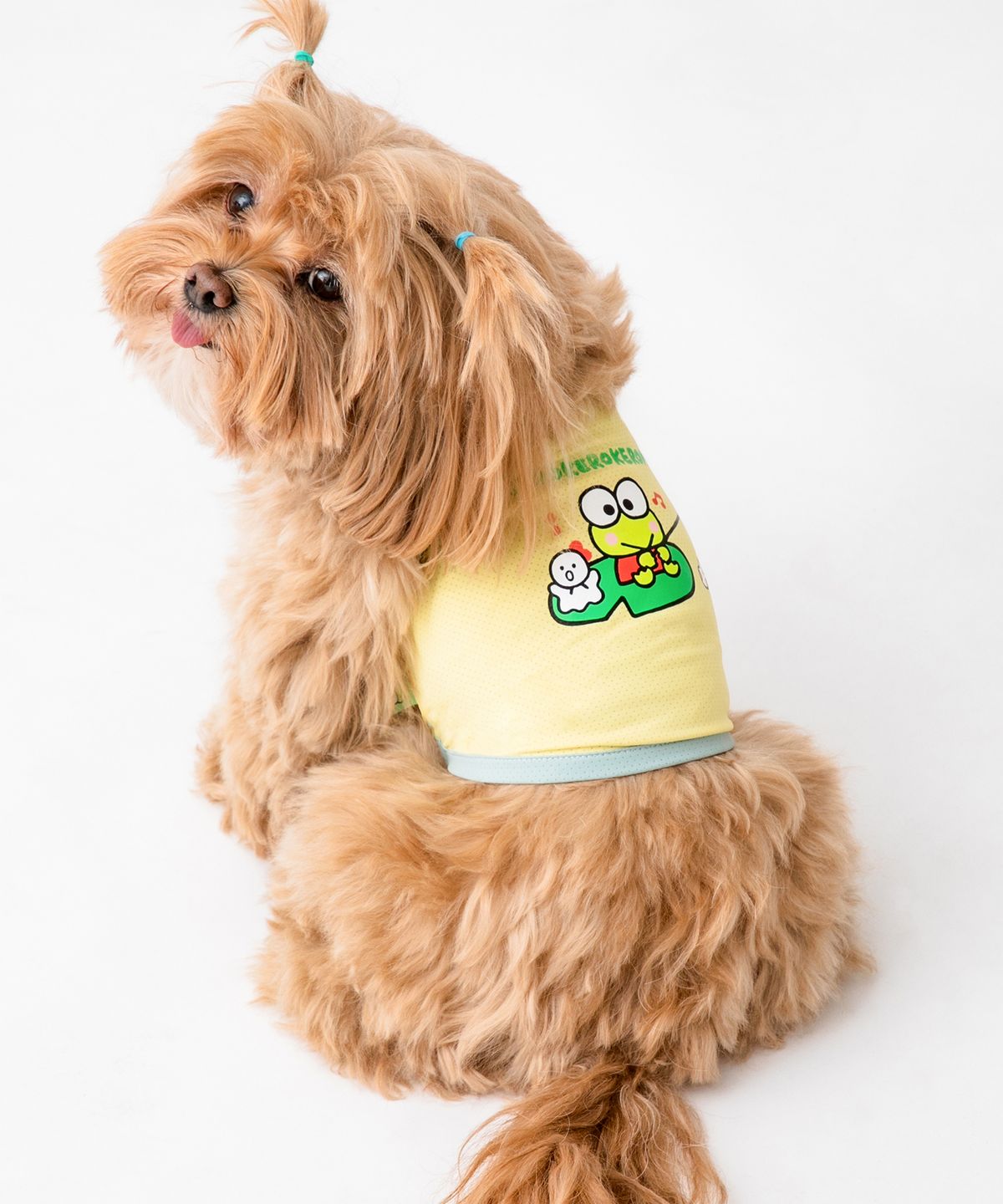 Korea｜Sanrio Characters Cool Sleeveless