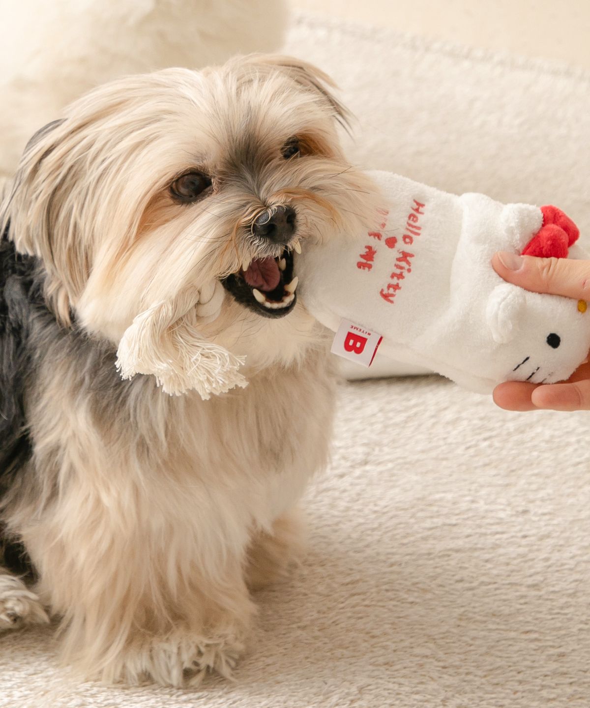 Korea｜Sanrio Characters Slipper Tug Toy (Hello Kitty / Pochacco)