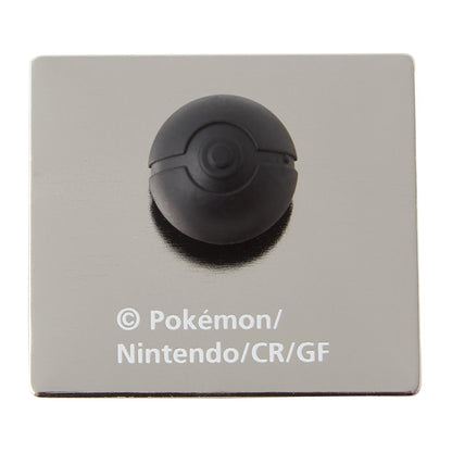 Pokémon Black White Black 2 White 2 Package Pins