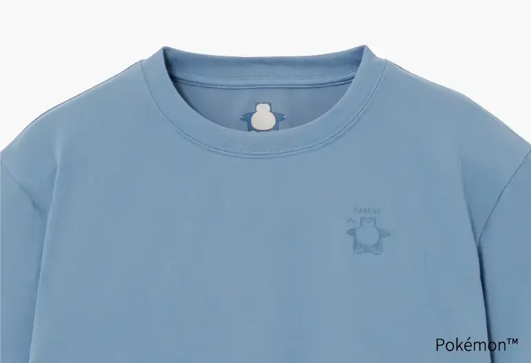 Pokémon Sleep Snorlax BAKUNE Dry Set