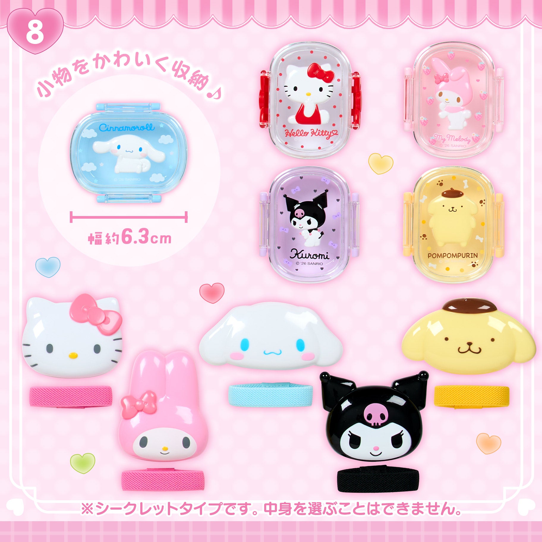 Sanrio Secret Lunch Box Style Mini Storage Container