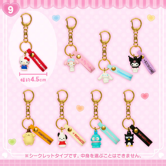 Sanrio Secret 3D Keychain Style Mini Charm